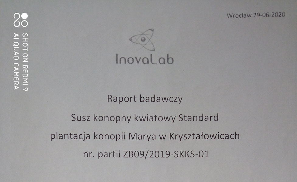 Badanie suszu konopnego Standard. Raport CBD THC Plantacja konopi w Kryształowicach