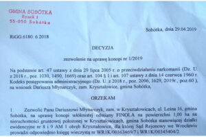 Zezwolenie na uprawę konopi włóknistych Plantacja konopi w Kryształowicach
