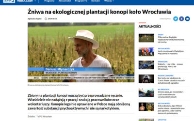 Żniwa konopne w Kryształowicach reportaż TVP Wrocław