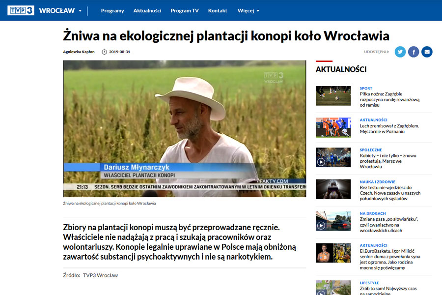 Żniwa konopne w TVP Wrocław