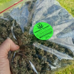 susz konopi CBG kannabigerol Cannabis Sativa kwiaty 100 g premium