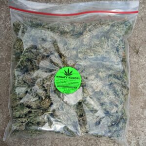 susz konopi siewnej Cannabis Sativa 100g CBD CBG