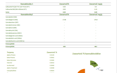 Susz CBG Santhica badanie laboratoryjne — certyfikat Inovalab 2024