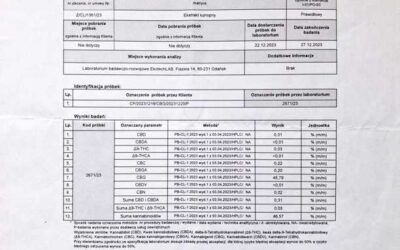 Wynik badania pasty CBG z ekstrakcji alkoholowej – 45,79% kannabigerolu